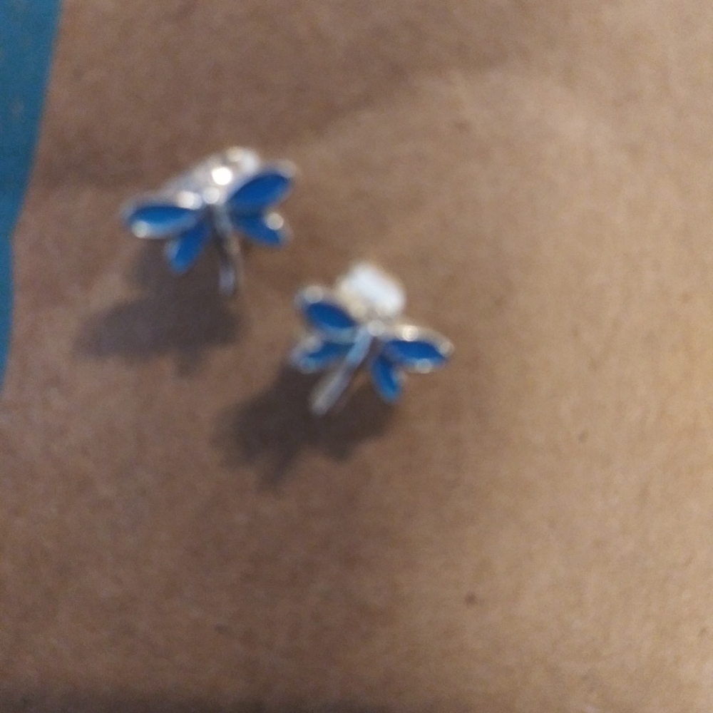 Dragonfly earrings.